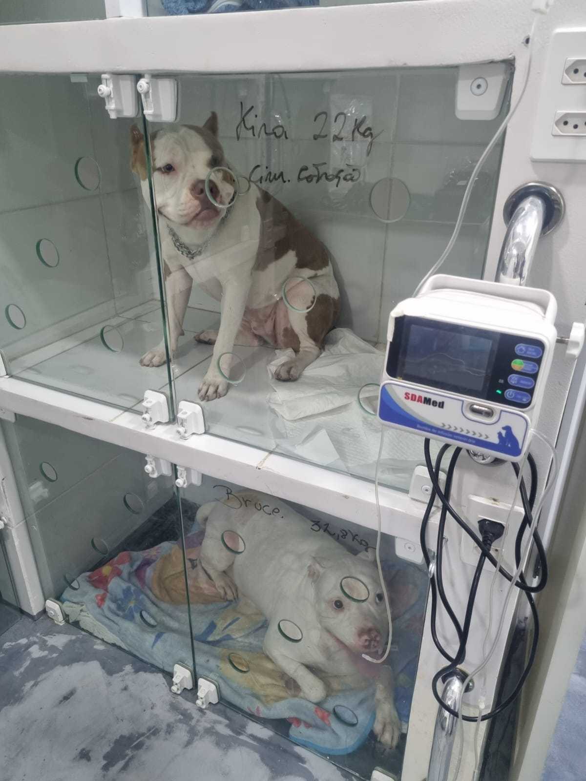 Foto da Galeria