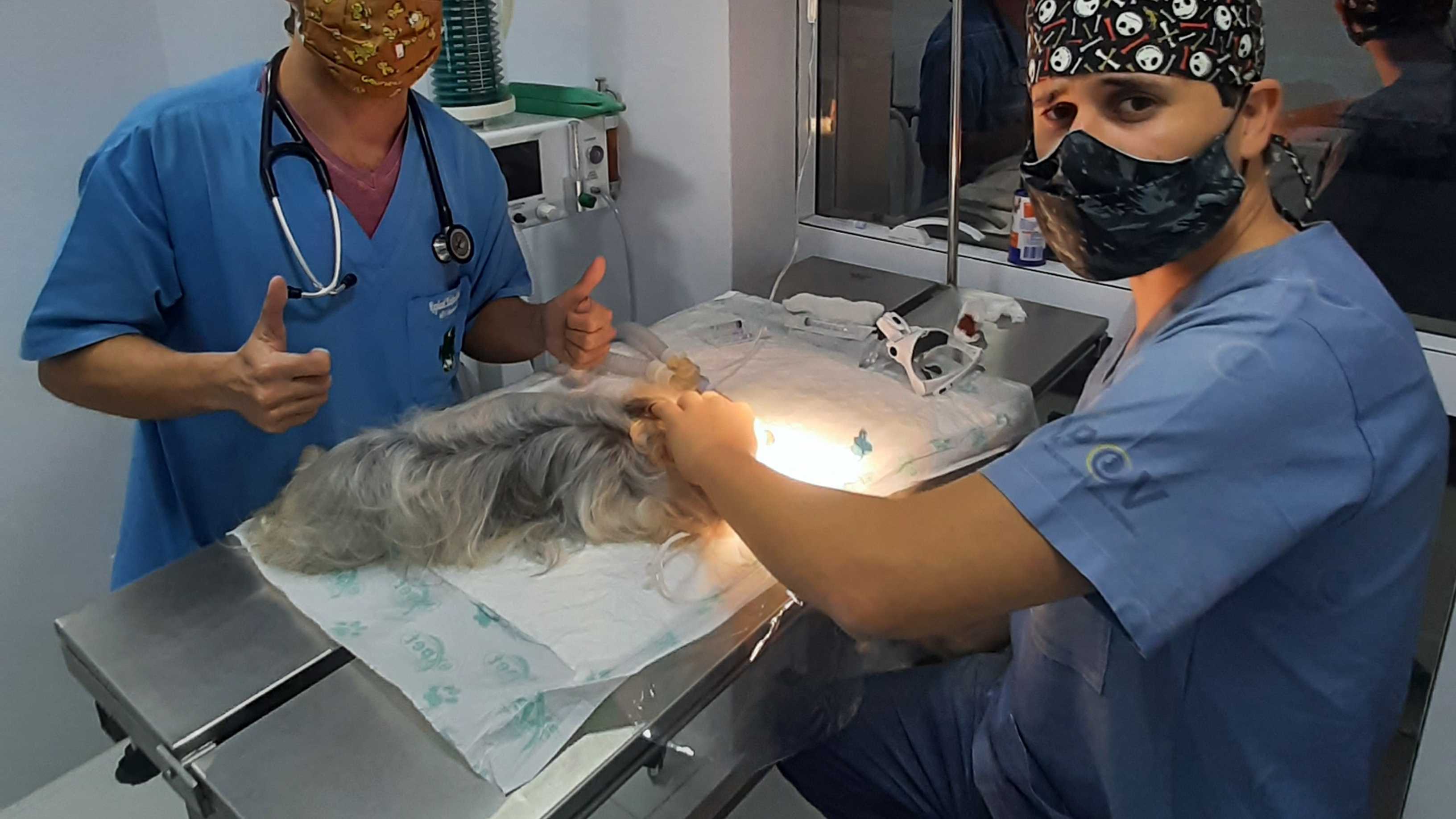 Cirurgia Landing Image