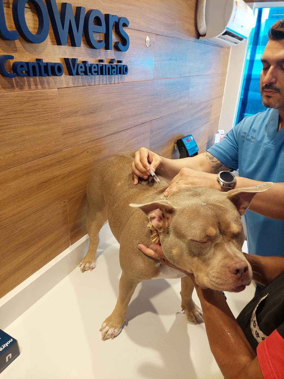 Foto da Galeria