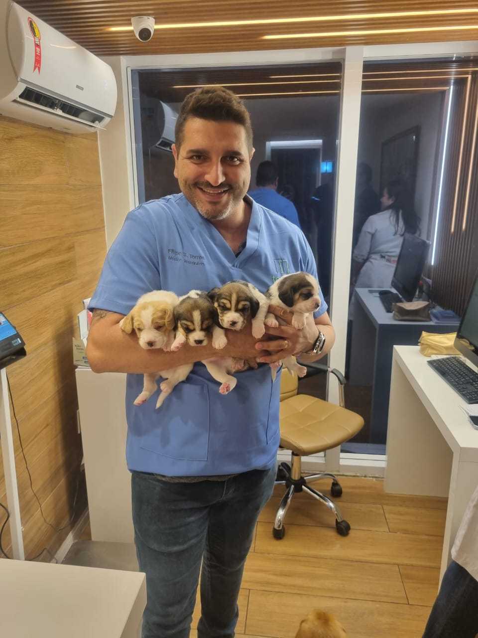 Foto da Galeria