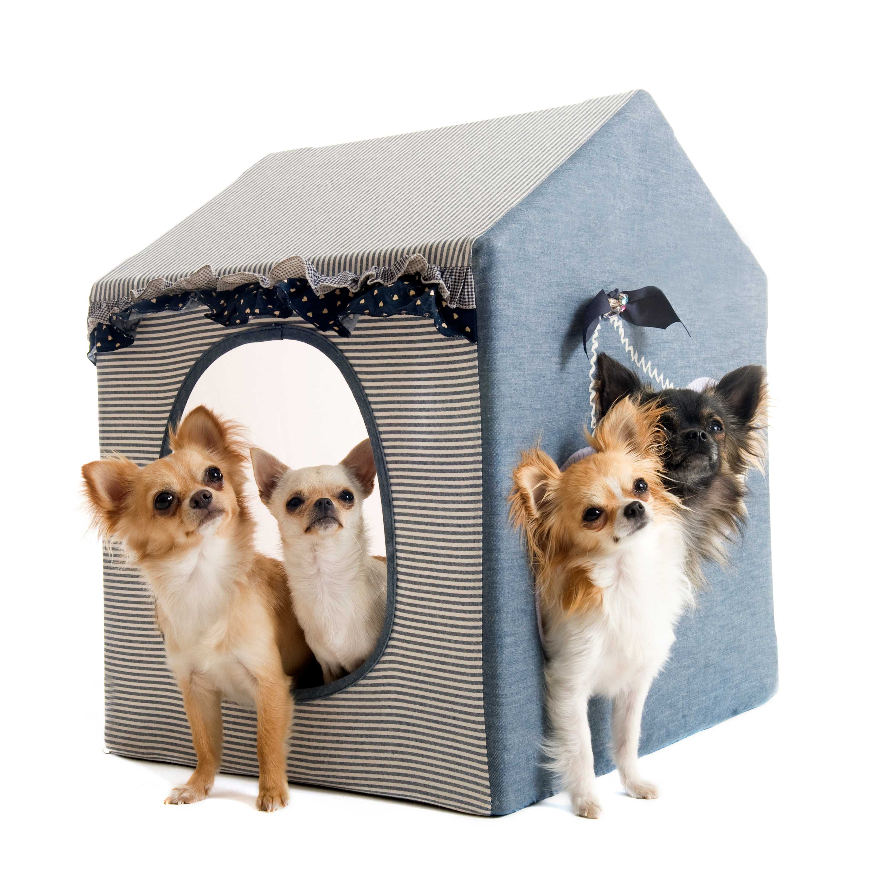 Hotelzinho Pet Landing Image